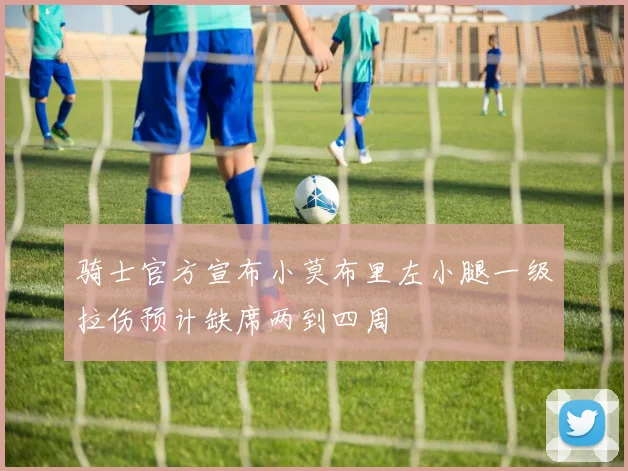 骑士官方宣布小莫布里左小腿一级拉伤预计缺席两到四周