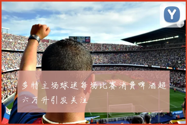 多特主场球迷每场比赛消费啤酒超六万升引发关注